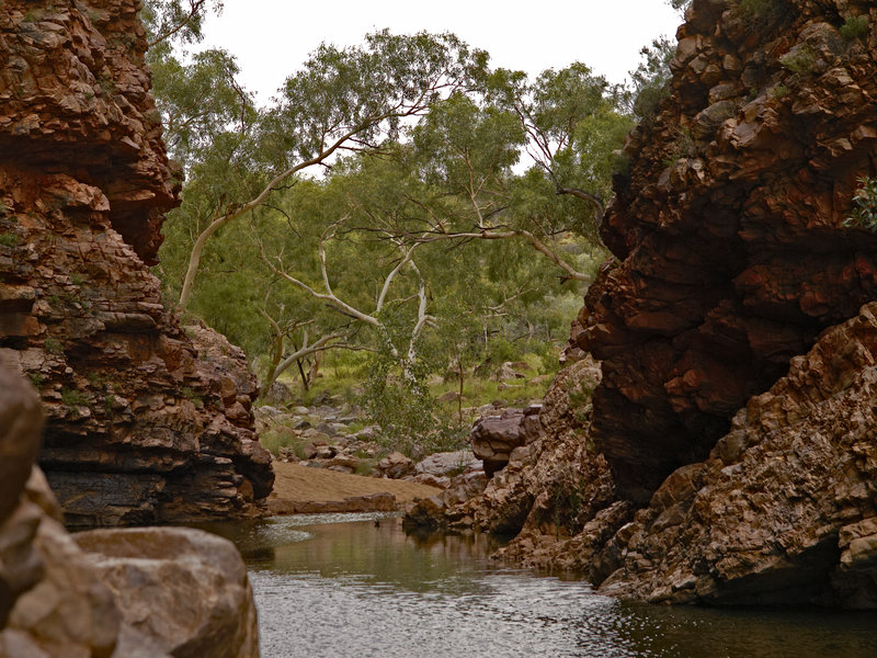 Ellery Creek